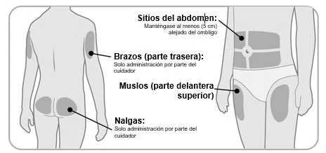 Diagram of the human body indicating injection sites: abdomen, back of the arms, anterior upper thighs, and glutes