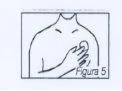 Disegno schematico del busto di una persona con una mano appoggiata sul petto sopra il cuore per indicare la zona di applicazione o dolore