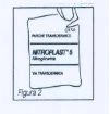 Technical drawing of a Nitroplast 5 milligram package, a transdermal patch, with black text on a white background