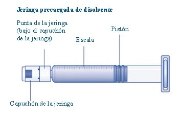 Diagramma di una siringa precargata con etichette che indicano la punta sotto il cappuccio, la scala graduata, il pistone e il cappuccio stesso