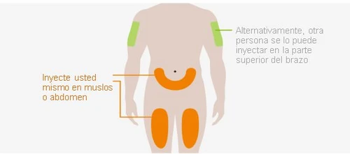 Diagramma del corpo umano con aree evidenziate in verde sulle braccia e in arancione sull'addome e sulle cosce per indicare i siti di iniezione