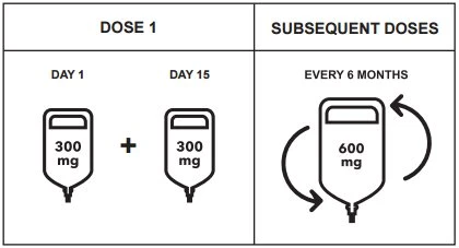 Schema terapeutico con dose 1 composta da due sacche da 300 mg ai giorni 1 e 15 e dosi successive da 600 mg ogni 6 mesi