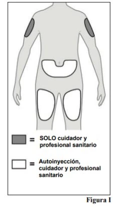 Human body diagram showing grey areas on the arms for professional use and white areas on the abdomen and thighs for self-injection
