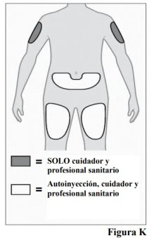 Human body diagram showing gray areas on the arms for use by caregivers and professionals, and white areas on the abdomen and thighs for self-injection