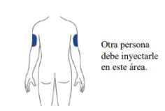 Disegno stilizzato della schiena di una persona con due aree blu evidenziate sulle braccia e la scritta in spagnolo che indica dove iniettare