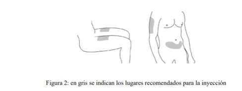 Disegni schematici di un corpo umano che mostrano in grigio le zone consigliate per l'iniezione sull'addome e sulla parte superiore della coscia