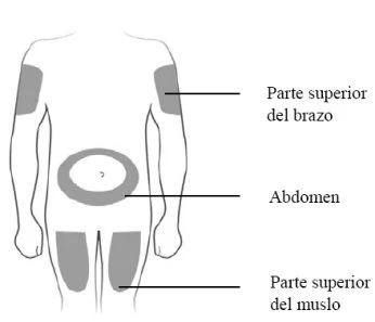 Schema del corpo umano con aree grigie che indicano i siti di iniezione sulla parte superiore del braccio, sull'addome e sulla parte superiore del muscolo