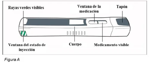 Diagramma di un dispositivo medico con etichette che indicano strisce verdi, finestra dello stato, corpo, finestra del farmaco e tappo
