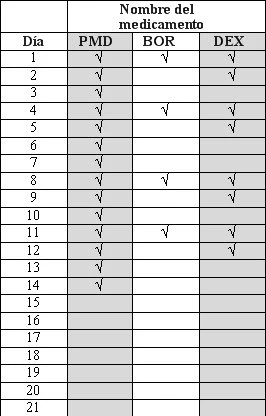 Medical table with columns for days 1 to 21 and medications PMD, BOR, and DEX, with checkmarks indicating daily administration