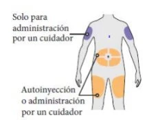 Diagram ciała ludzkiego z niebieskimi strefami na ramionach i pomarańczowymi na udach i brzuchu