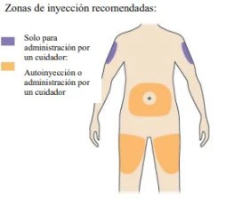 Schema del corpo umano con zone colorate per l'iniezione: braccia in viola per l'assistente e addome e cosce in arancione per autoiniezione