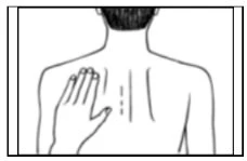 Disegno in bianco e nero del busto di una persona di spalle con una mano appoggiata sulla parte superiore della schiena sinistra