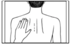 Disegno in bianco e nero del busto di una persona visto di schiena con una mano appoggiata sulla parte superiore della scapola sinistra