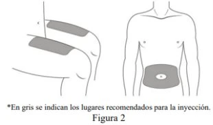Diagramma che mostra due figure umane con aree grigie sull