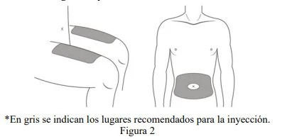 Medical diagram showing two gray areas on the side and on the