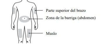 Diagramma del corpo umano con aree grigie che indicano la parte superiore del braccio, la zona dell'addome e la coscia