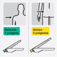 Diagramma medico che mostra l'iniezione nel muscolo deltoide e nel gluteo