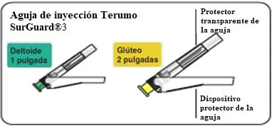 Diagramma di due aghi da iniezione Terumo SurGuard con protezioni trasparenti e dispositivi protettivi per muscolo deltoide e gluteo