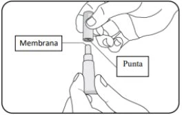Disegno tecnico che mostra due mani che separano un dispositivo medico con etichette che indicano la membrana e la punta del componente