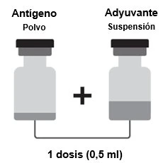 Diagramma medico con due flaconi, uno contenente polvere di antigene e l'altro sospensione adiuvante, da unire per una dose da 0,5 ml