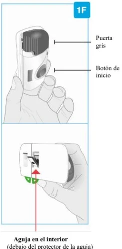 Medical diagram showing a hand holding a white device with a grey door and a start button and the