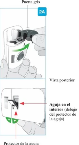 Medical diagram showing the