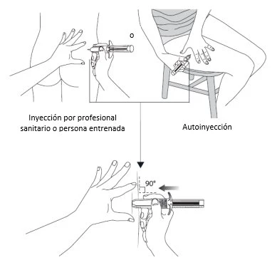 Disegni schematici che mostrano l'iniezione eseguita da un professionista o l'autoiniezione con la siringa inserita a 90 gradi nella pelle