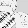 Two hands holding and peeling apart a strip of pills in a white blister pack with individual circular cavities for tablets
