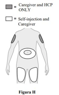 Schema con corpo umano e aree grigie per caregiver e medici e aree bianche per auto-iniezione e caregiver su braccia, addome e cosce