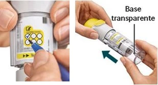 Two images showing hands handling a medical device, with a note indicating the transparent base and a green arrow pointing downward