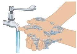 Two hands with soap lather washing under a stream of water