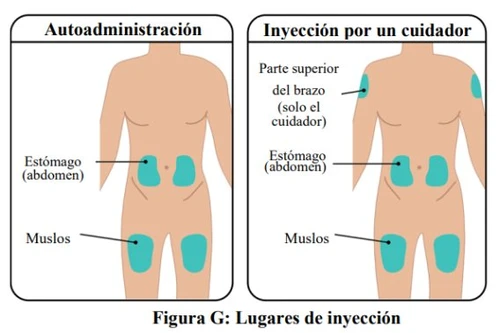 Medical diagram with two human figures indicating injection sites for self-administration on abdomen and thighs, and for caregiver on arm, abdomen and thighs