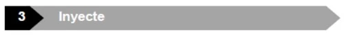 Gray horizontal arrow pointing to the right containing the white word Inyecte and a small black segment on the left with the white number 3