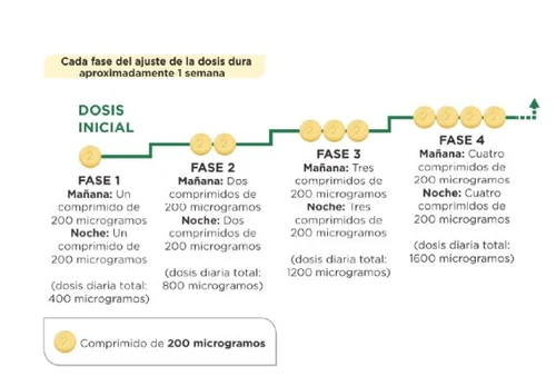 Schema grafico di un piano di dosaggio in quattro fasi con dosi giornaliere crescenti da 400 a 1600 microgrammi tra mattina e notte