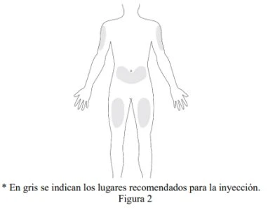 Human body diagram viewed from the back with shaded areas indicating injection sites on arms, glutes, and thighs