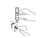 Line drawing of a hand holding a small bottle to instill a drop of medication into the eye