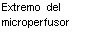 Black text on white background reading 'Extremo del microperfusor' in sans-serif font