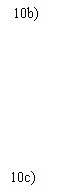 Black text on white background with '10b' at the top and '10c' at the bottom