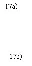 Black text on white background with '17a' at the top and '17b' at the bottom