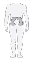 Stylized schematic of a male human body with the