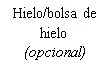 Testo in nero su sfondo bianco con la scritta Ghiaccio/borsa del ghiaccio (opzionale)