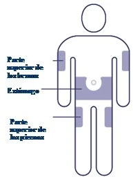 Diagram of a human body with gray-highlighted areas on the