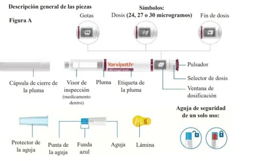 Diagramma medico che illustra le parti di una penna iniettiva Yorvipath con etichetta, dosaggio, pulsante, ago e componenti di protezione
