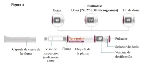 Техническая схема инъекционной ручки Yorvipath с указанием капель, дозировок 24, 27 или 30 мкг, кнопки и окна дозировки