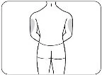 Disegno schematico del corpo umano visto di schiena che evidenzia le zone delle braccia e delle cosce con aree ombreggiate in grigio