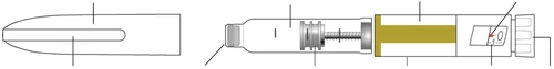 Technical diagram of an injection pen with numerical dose indicator, cylindrical body, and needle tip with viewing window for liquid control