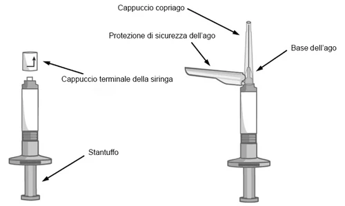 Diagramma medico che mostra le parti di una siringa con cappuccio terminale, stantuffo, base dell'ago, protezione di sicurezza e cappuccio copriago