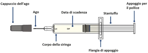 Diagramma di una siringa con etichette che indicano cappuccio dell'ago, ago, lotto, data di scadenza, corpo, stantuffo, flangia e appoggio per il pollice