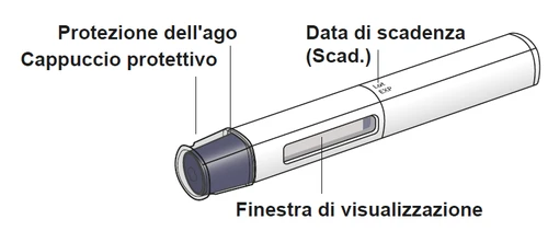 Diagramma di una penna iniettiva con etichette che indicano il cappuccio protettivo dell'ago, la finestra di visualizzazione e la data di scadenza