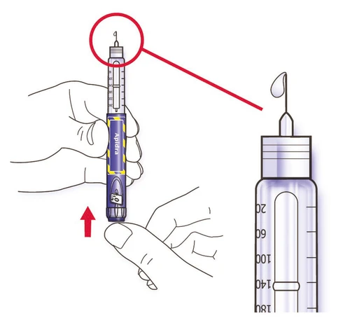 Illustration of hands holding an Apidra insulin pen with an inset showing detail of the